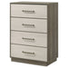 Fenwick Chest - Visions in Furniture (La Mirada, CA)