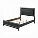 Haiden Queen Bed With Led - Visions in Furniture (La Mirada, CA)