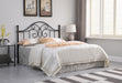 Bailey Queen / Full Headboard - Visions in Furniture (La Mirada, CA)