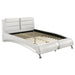 Jeremaine California King, E.King, & Queen Upholstered Bed White - Visions in Furniture (La Mirada, CA)