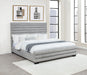 Patricia Beds - Visions in Furniture (La Mirada, CA)