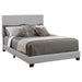 Dorian Beds 5 - Visions in Furniture (La Mirada, CA)