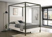 Monroe Eastern King & Queen Bed - Visions in Furniture (La Mirada, CA)