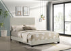 Dorian Panel Beds - Visions in Furniture (La Mirada, CA)