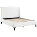 Mosby Queen Beds - Visions in Furniture (La Mirada, CA)