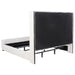 Natasha California King, E.King & Queen Bed - Visions in Furniture (La Mirada, CA)