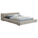 Trinity California King, E.king, Queen, & Full Bed Green & Light Taupe - Visions in Furniture (La Mirada, CA)
