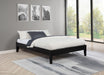 Hounslow Platform Bases - Visions in Furniture (La Mirada, CA)