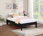 Hounslow Universal Platform Bed - Visions in Furniture (La Mirada, CA)