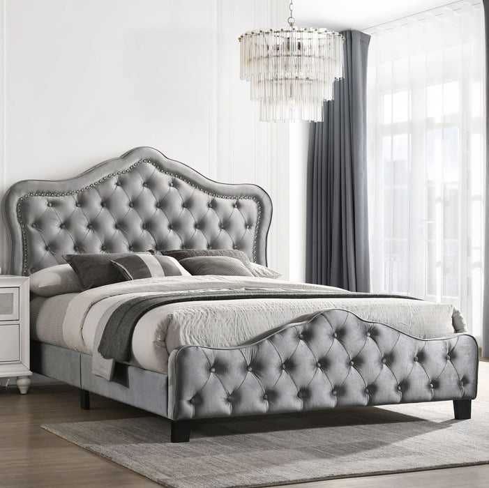 Bella Beds Cal.King & E.King, Queeen - Visions in Furniture (La Mirada, CA)