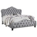 Bella Beds Cal.King & E.King, Queeen - Visions in Furniture (La Mirada, CA)