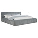 Wilshire California King, E.king, & Queen Bed - Visions in Furniture (La Mirada, CA)