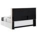 Izzy Queen Headboard - Visions in Furniture (La Mirada, CA)