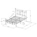 Novak Eastern King, Full, Queen, & Twin Bed - Visions in Furniture (La Mirada, CA)