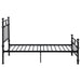 Novak Eastern King, Full, Queen, & Twin Bed - Visions in Furniture (La Mirada, CA)