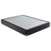 Mercer 9" Twin XL Standard Box Spring Foundation - Visions in Furniture (La Mirada, CA)