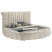 Sonya Eastern King & Queen Bed - Visions in Furniture (La Mirada, CA)