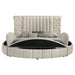 Sonya Eastern King & Queen Bed - Visions in Furniture (La Mirada, CA)