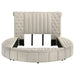 Sonya Eastern King & Queen Bed - Visions in Furniture (La Mirada, CA)