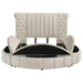 Sonya Eastern King & Queen Bed - Visions in Furniture (La Mirada, CA)