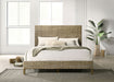 Zyla California King, E.King, & Queen Bed - Visions in Furniture (La Mirada, CA)