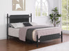 Cameron Eastern King & Queen Bed - Visions in Furniture (La Mirada, CA)