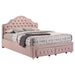 Ashleigh Full Bed - Visions in Furniture (La Mirada, CA)