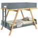 Frankie Bunk Beds - Visions in Furniture (La Mirada, CA)