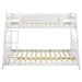 Holden Bunk Beds - Visions in Furniture (La Mirada, CA)