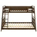 Holden Bunk Beds - Visions in Furniture (La Mirada, CA)