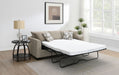 Storey Sleeper Sectionals - Visions in Furniture (La Mirada, CA)