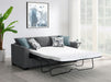 Storey Sleeper Sectionals - Visions in Furniture (La Mirada, CA)
