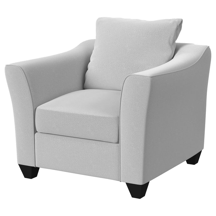 Salizar Accent Chairs - Visions in Furniture (La Mirada, CA)