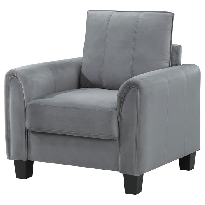 Davis Accent Chair - Visions in Furniture (La Mirada, CA)
