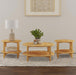 Camillo Coffee Table Sets - Visions in Furniture (La Mirada, CA)