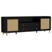 Arini TV Stands - Visions in Furniture (La Mirada, CA)