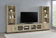 Sachin Entertainment Centers 2 - Visions in Furniture (La Mirada, CA)