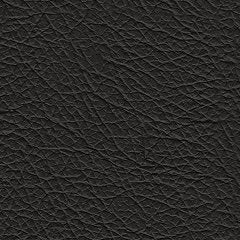 Modmax II Sectional Sofa Chaise - Visions in Furniture (La Mirada, CA)