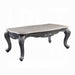 Ariadne Coffee Table - Visions in Furniture (La Mirada, CA)
