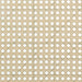 Rayo Accent Chairs - Visions in Furniture (La Mirada, CA)