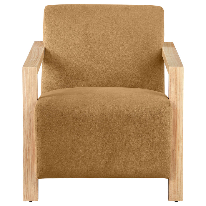 Diego Accent Chair - Visions in Furniture (La Mirada, CA)