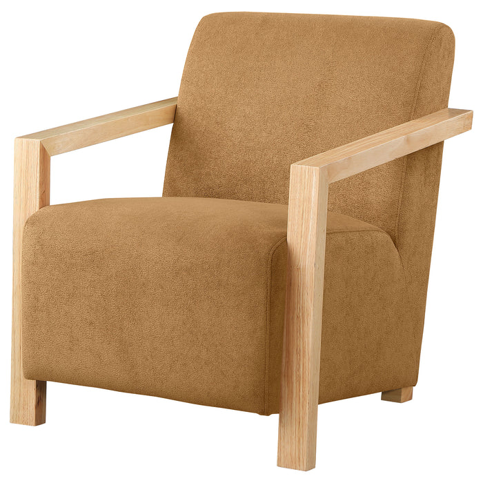 Diego Accent Chair - Visions in Furniture (La Mirada, CA)