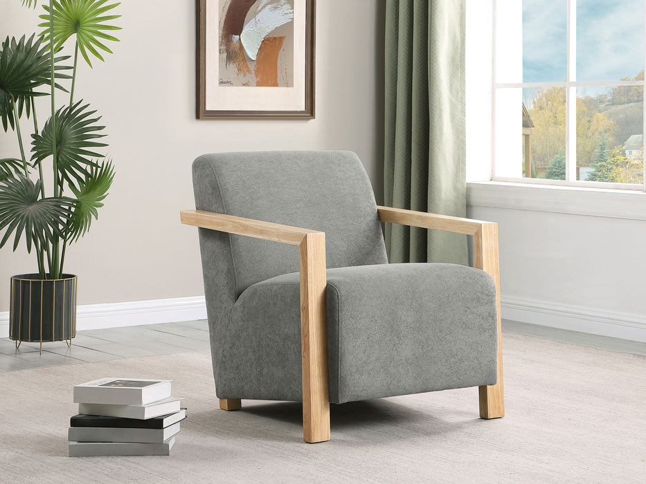 Diego Accent Chair - Visions in Furniture (La Mirada, CA)