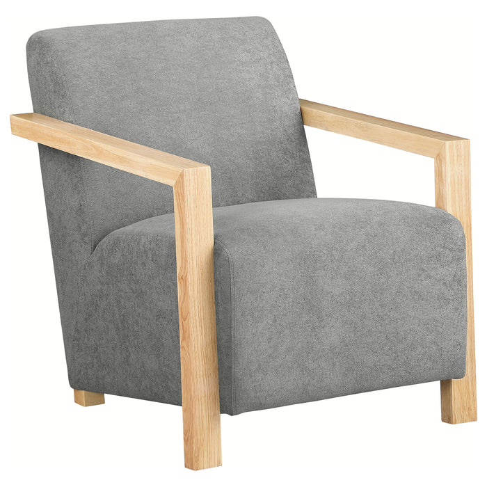 Diego Accent Chair - Visions in Furniture (La Mirada, CA)