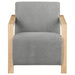 Diego Accent Chair - Visions in Furniture (La Mirada, CA)