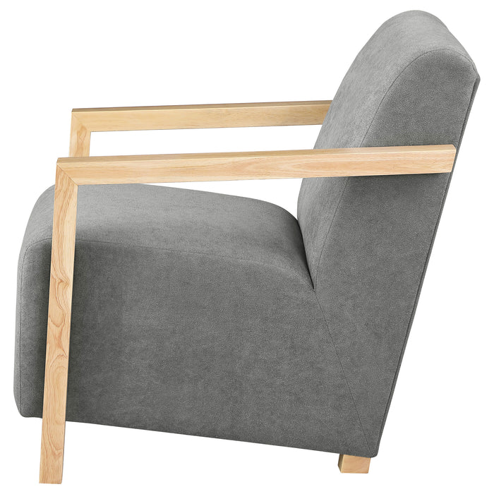 Diego Accent Chair - Visions in Furniture (La Mirada, CA)