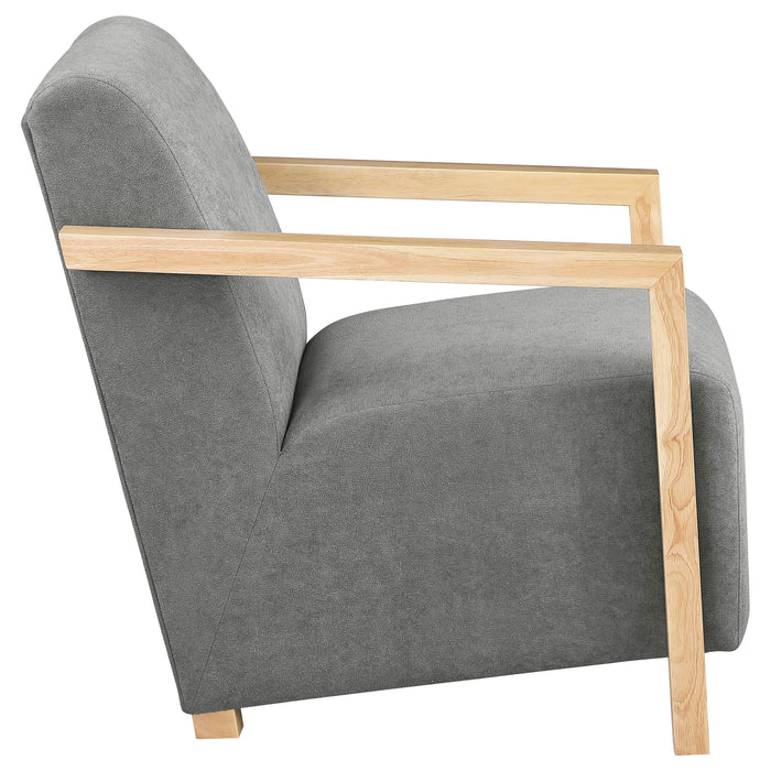 Diego Accent Chair - Visions in Furniture (La Mirada, CA)