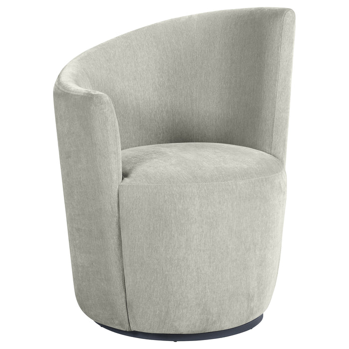 Nueva Accent Chairs - Visions in Furniture (La Mirada, CA)