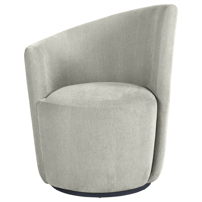 Nueva Accent Chairs - Visions in Furniture (La Mirada, CA)