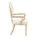 AICO Furniture Camellia Field Arm Chair (Set of 2) in Caramel - Visions in Furniture (La Mirada, CA)